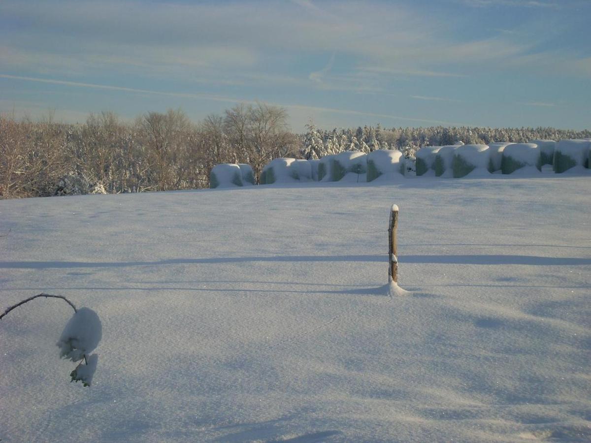 Location Vacances Des 4 Vents Girmont-Val-d'Ajol Екстер'єр фото