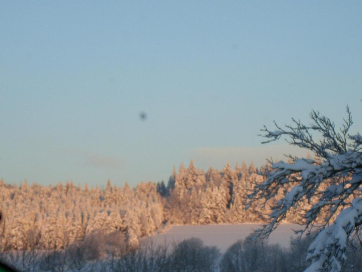 Location Vacances Des 4 Vents Girmont-Val-d'Ajol Екстер'єр фото